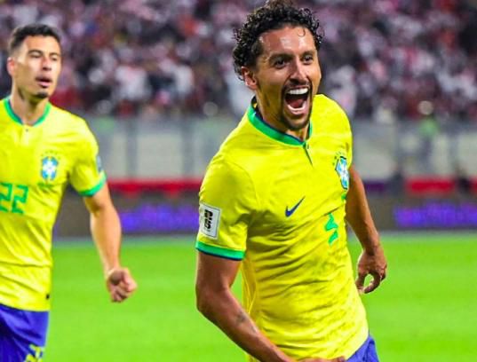 特级西西人体www