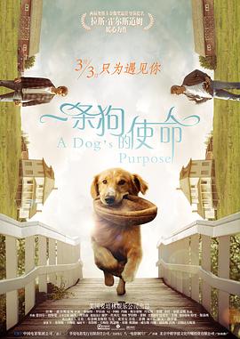 街拍肥臀