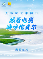 天天插天天干天天操