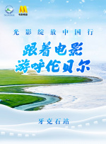 岳母之火