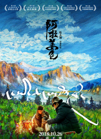 男人和女人鸡鸡对鸡鸡