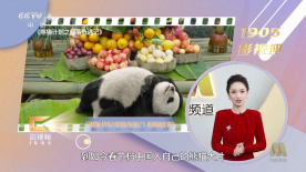 国产真实精品久久二三区
